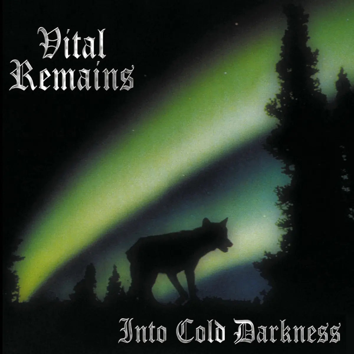 Vital Remains - Into Cold Darkness (CD)