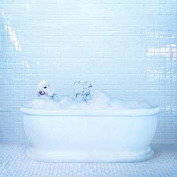 Frankie Cosmos - Vessel (LP, 'Loser' edition. translucent blue vinyl)