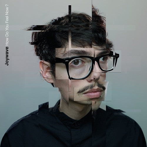 Joywave - How Do You Feel Now (Vinyl LP)