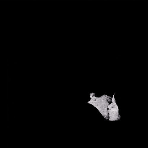 Bob Moses - Days Gone By (Vinyl LP)