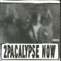 2Pac - 2Pacalypse Now (2xLP, picture disc)