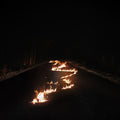 Bob Moses - Battle Lines (Vinyl LP)