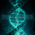 Disturbed - Evolution (Vinyl LP)