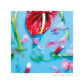 Beauty Sleep ‎- Be Kind (LP)