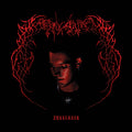 Endgame - Surrender (LP, red vinyl)