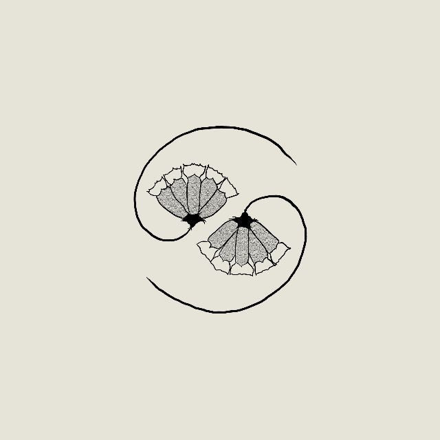 Godspeed You! Black Emperor - G_d’s Pee AT STATE’S END! (LP + 10")