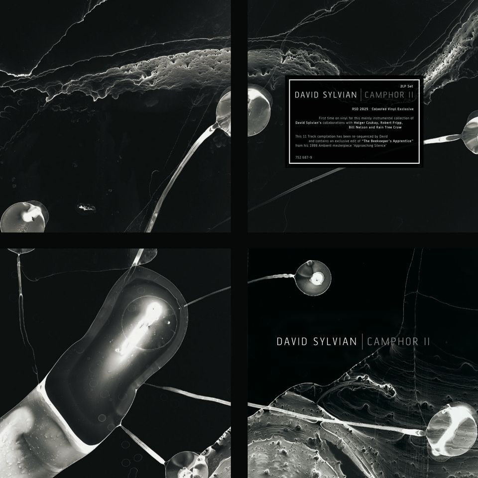 [RSD25] David Sylvian - Camphor II (2xLP, white)