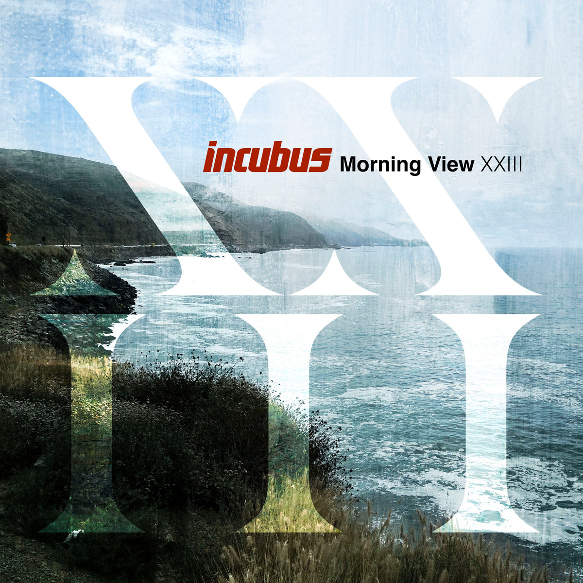 Incubus - Morning View XXIII (2xLP, blue)