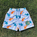 Bape Shorts Fitness Sports American Short-Length Pants Mesh Breathable and Loose NextBlock