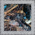Chasmal Mire - Chasmal Mire (CD)
