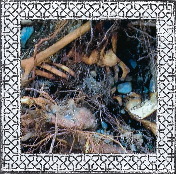 Chasmal Mire - Chasmal Mire (CD)
