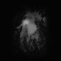 SALE: Ostots - Ezer Ezaren Araztasuna (CD) was £11.99