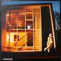 Idles - Crawler (LP)