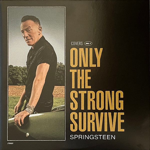 SALE: Bruce Springsteen - Only The Strong Survive (2xLP) was £28.99