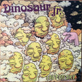 Dinosaur Jr. - I Bet On Sky (LP)
