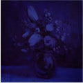 Deaf Wish - Lithium Zion (LP, Indies Only Pink Vinyl)
