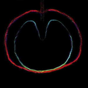 XTC - Wasp Star: Apple Venus II (LP, 200g vinyl)