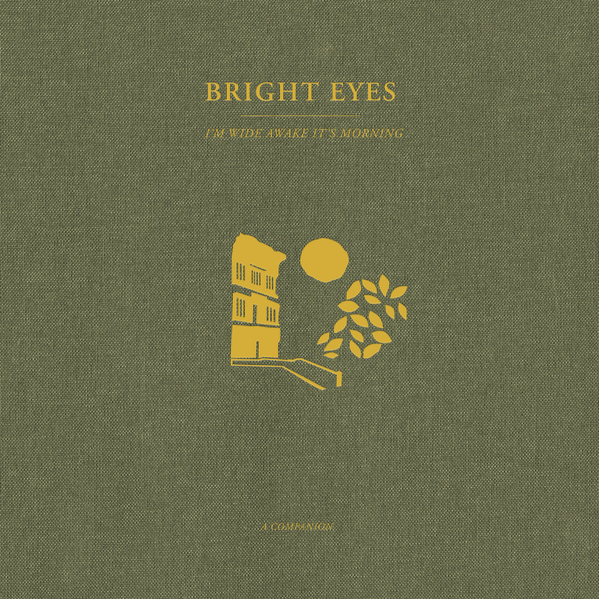 Bright Eyes - I'm Wide Awake, It's Morning: A Companion (12")