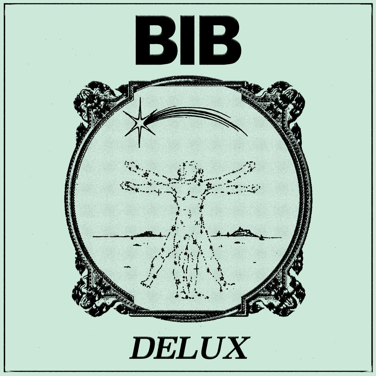 Bib - Delux (LP, orange vinyl)