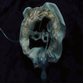 Ship Sket - InitiatriX (LP)