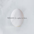 Wilco - A Ghost Is Born (2xLP, 20th anniversary edition)