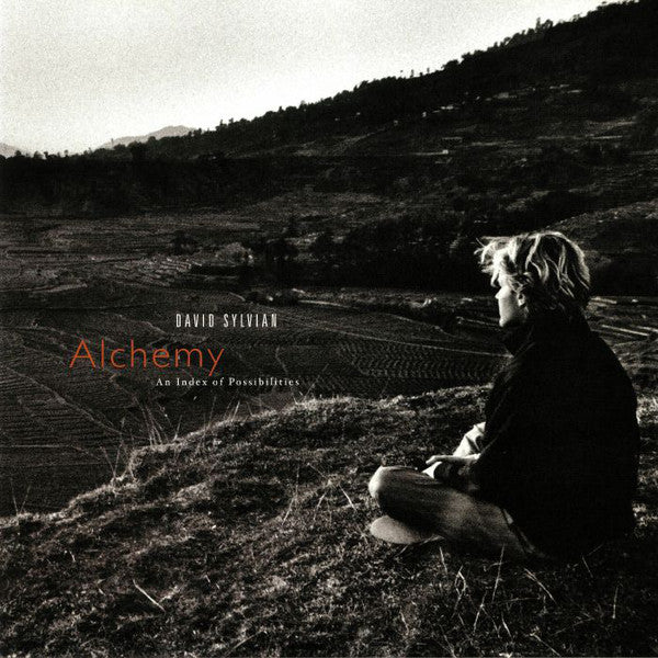 David Sylvian - Alchemy An Index Of Possibilities (LP)