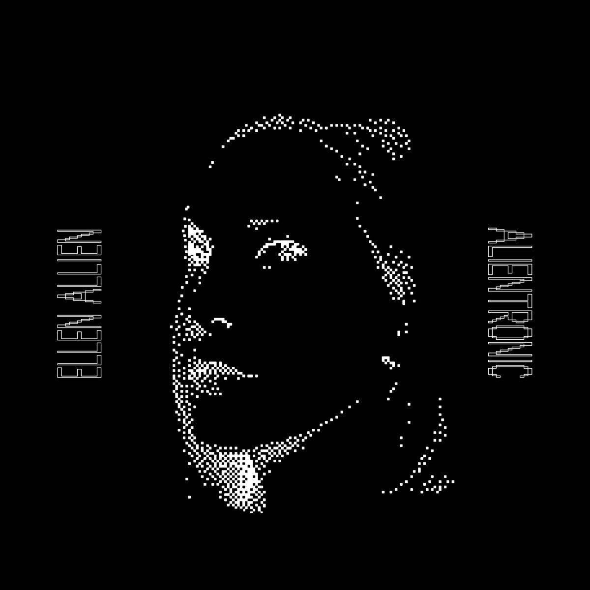 Ellen Allien - Alientronic (2xLP)