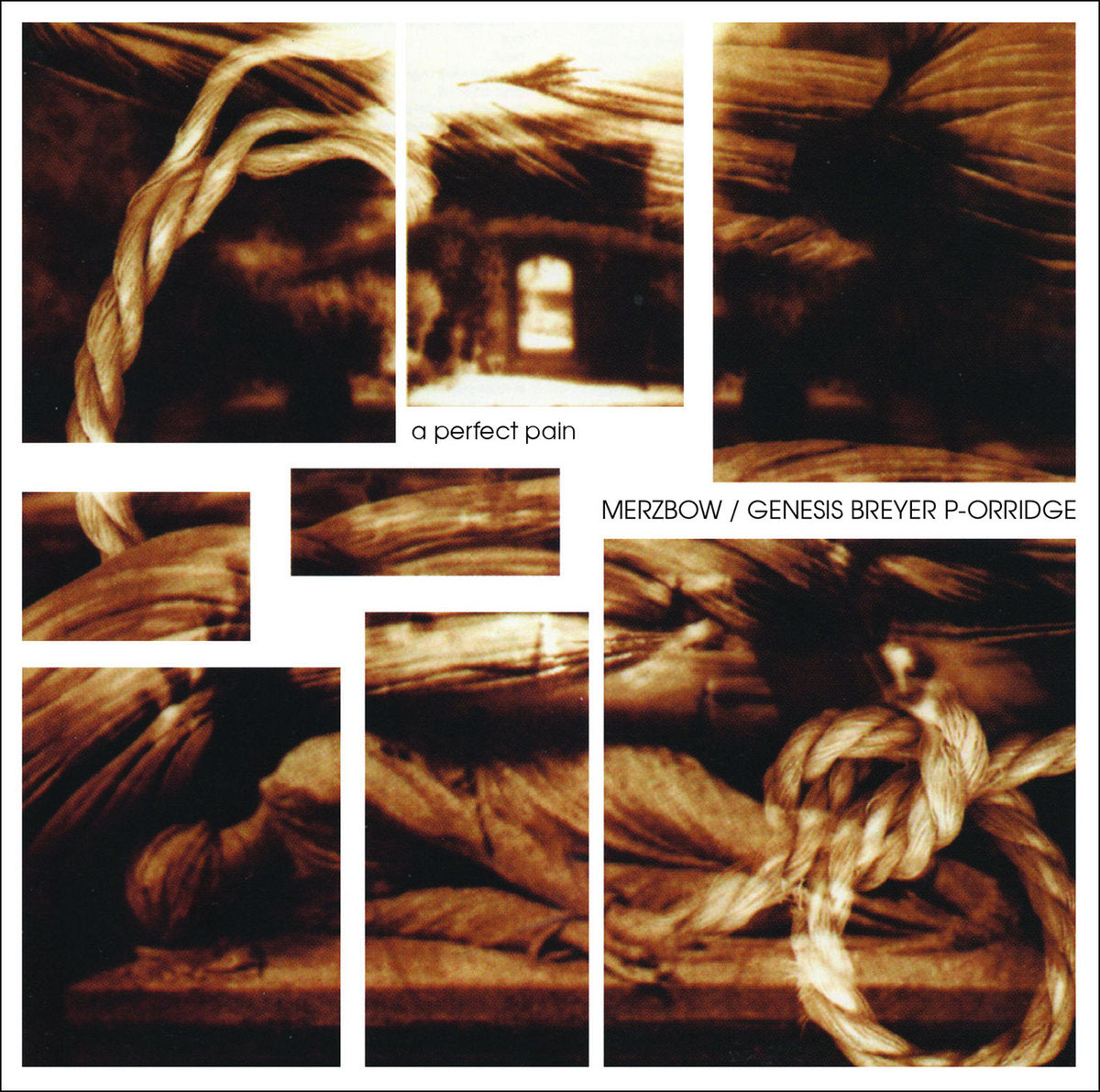 Merzbow/Genesis Breyer P-Orridge - A Perfect Pain (CD)