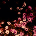 SALE: Rat Columns - Babydoll (LP+7") was £27.99