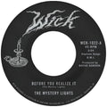 The Mystery Lights - Before You Realize It/Cerebral Crack (7")