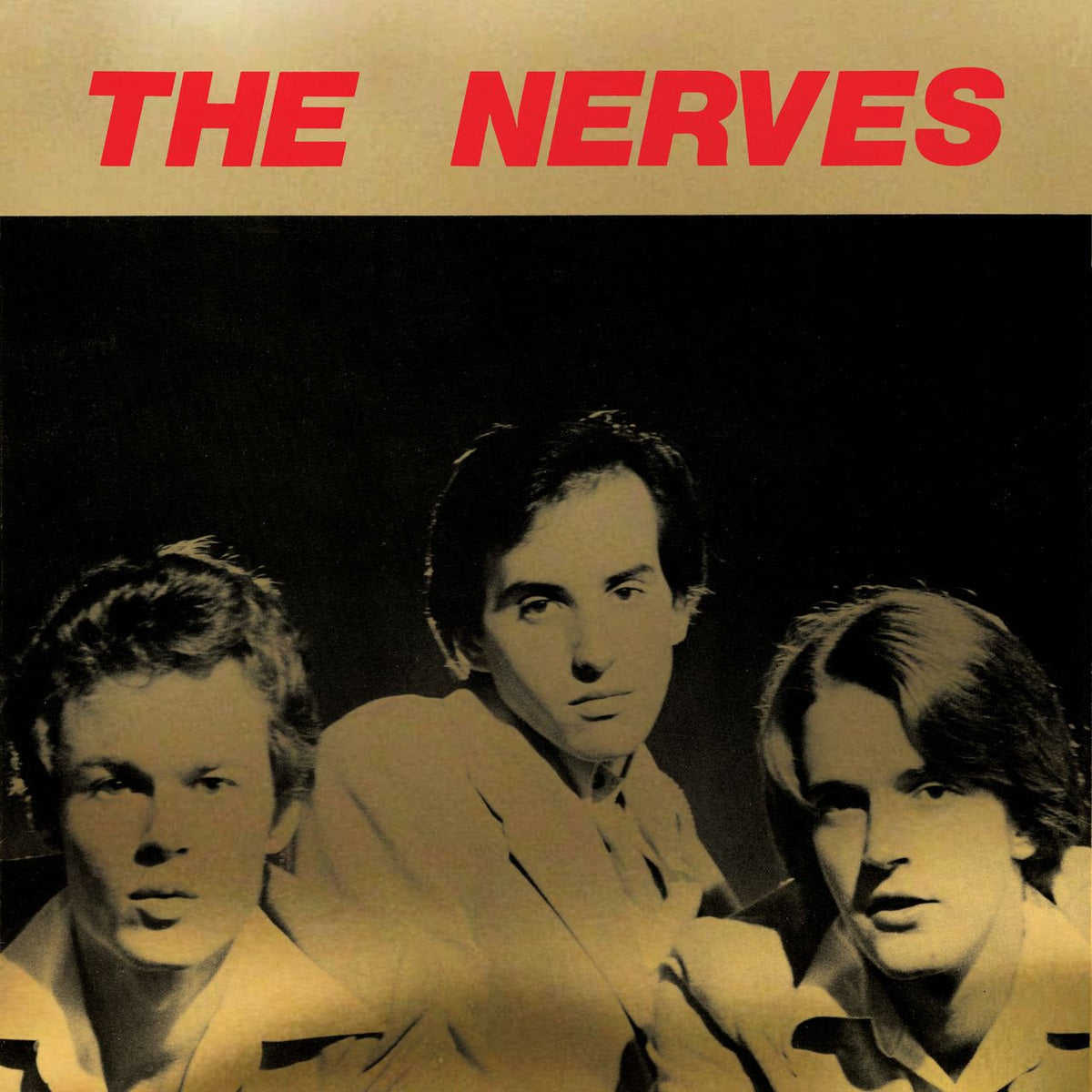 The Nerves - Best Collection (2xLP, red marble vinyl)
