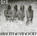 D.Y.S. - Brotherhood (LP)