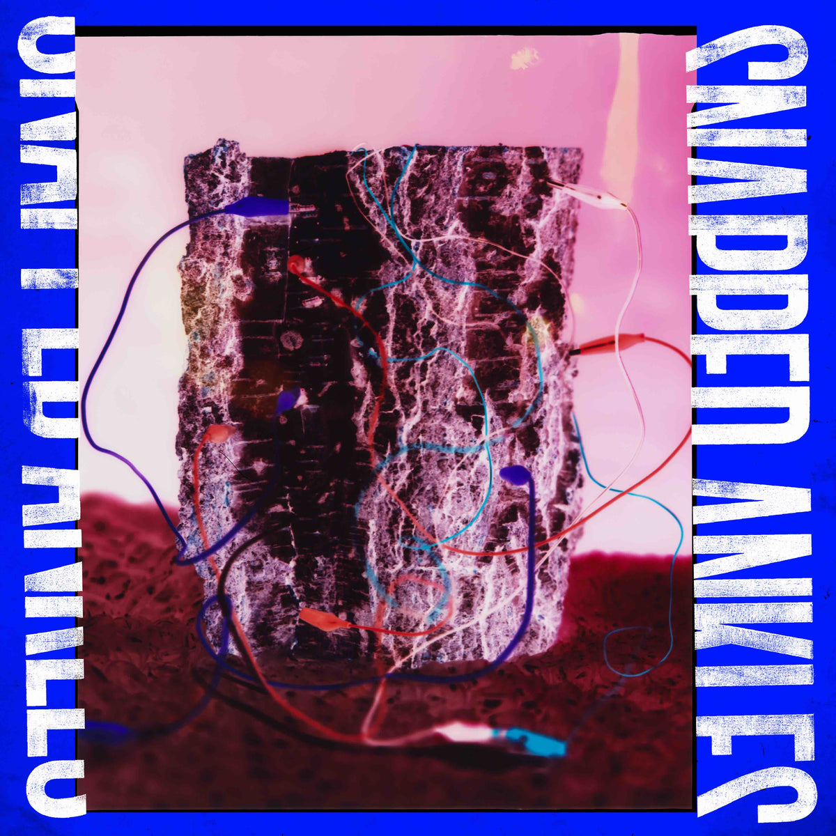 Snapped Ankles - Forest Of Your Problems (LP, Protester Edition, forest floor coloured vinyl)