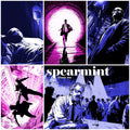 Spearmint - Chase Me (LP)