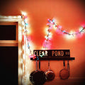 Kristin Hersh - Clear Pond Road (LP, clear vinyl)