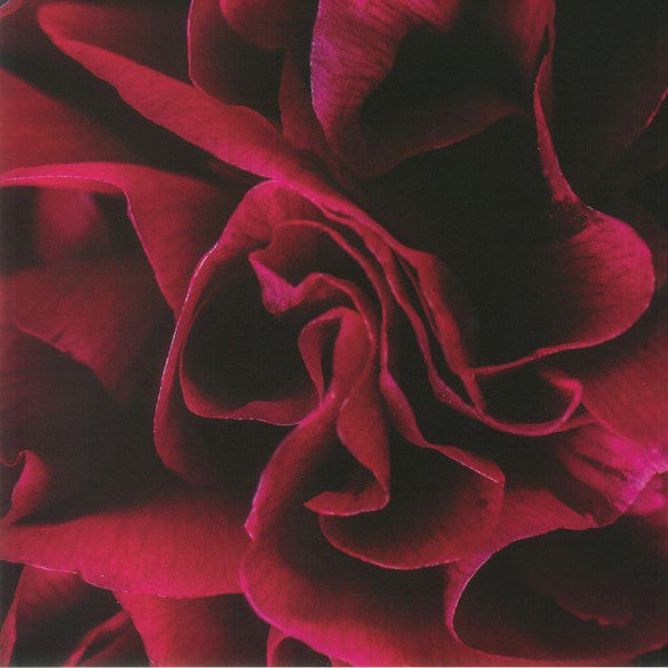 SALE: Ian Boddy - Coil (LP) was £23.99