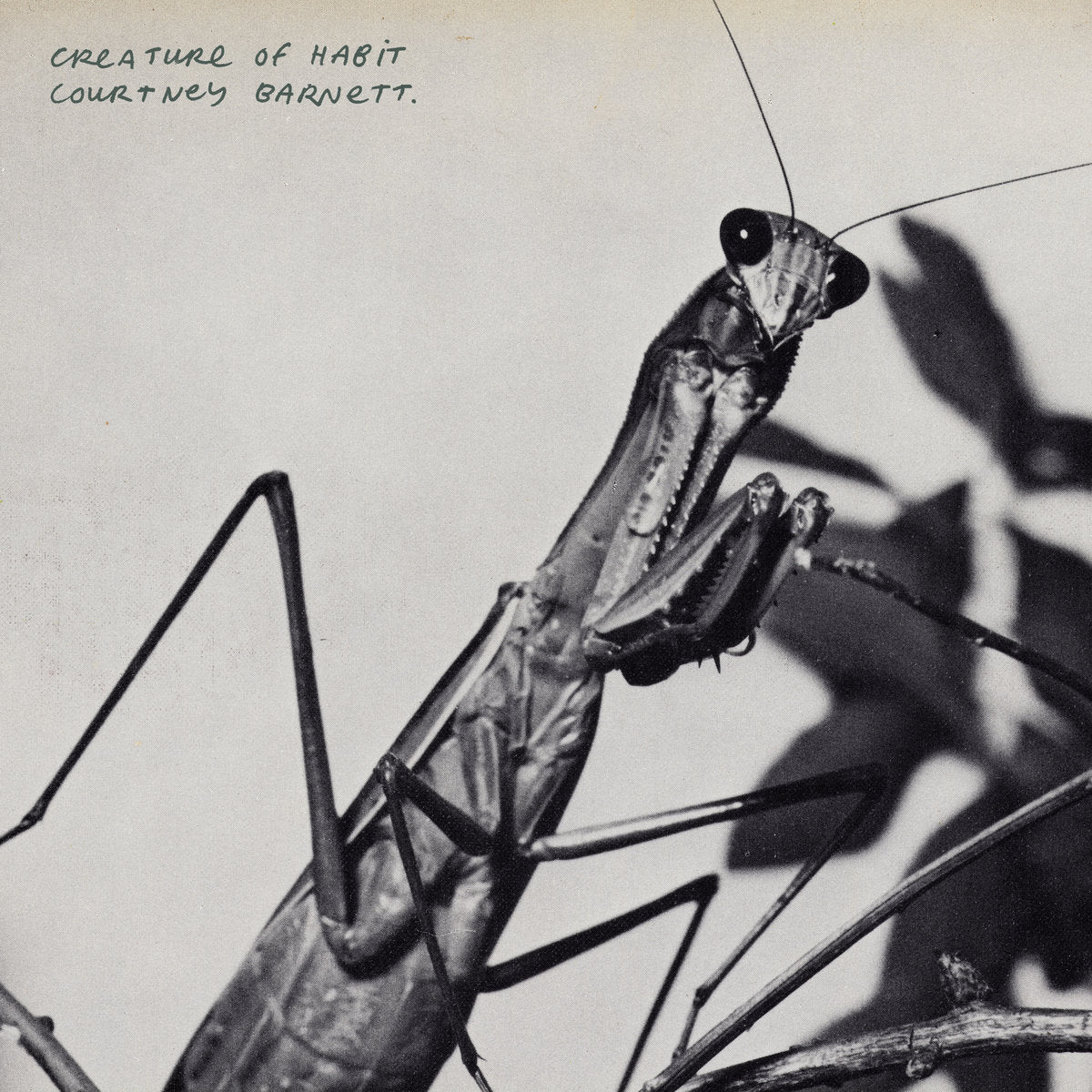 Courtney Barnett - Creature of Habit (LP, 'Another Beautiful Day' caramel vinyl)