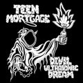 Teen Mortgage - Devil Ultrasonic Dream (LP)