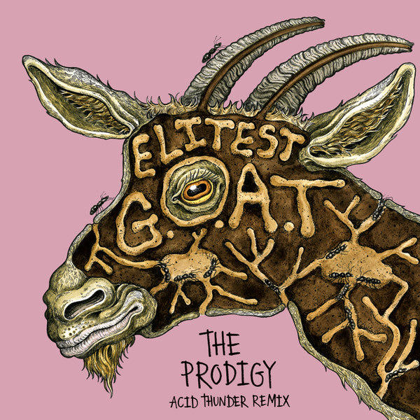 Sleaford Mods - Elitest G.O.A.T. (The Prodigy Acid Thunder Mix) (7", gold vinyl)