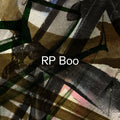 SALE: RP Boo - Established (2xLP) was £22.99
