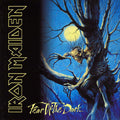 Iron Maiden - Fear Of The Dark (2xLP)