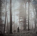 Taylor Swift - Folklore (2xLP, "In The Trees" cover)
