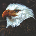 Mogwai - The Hawk Is Howling (2xLP, white)
