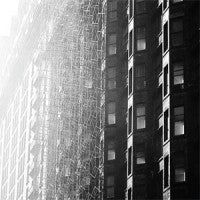 Hecks, The - S/T (LP)