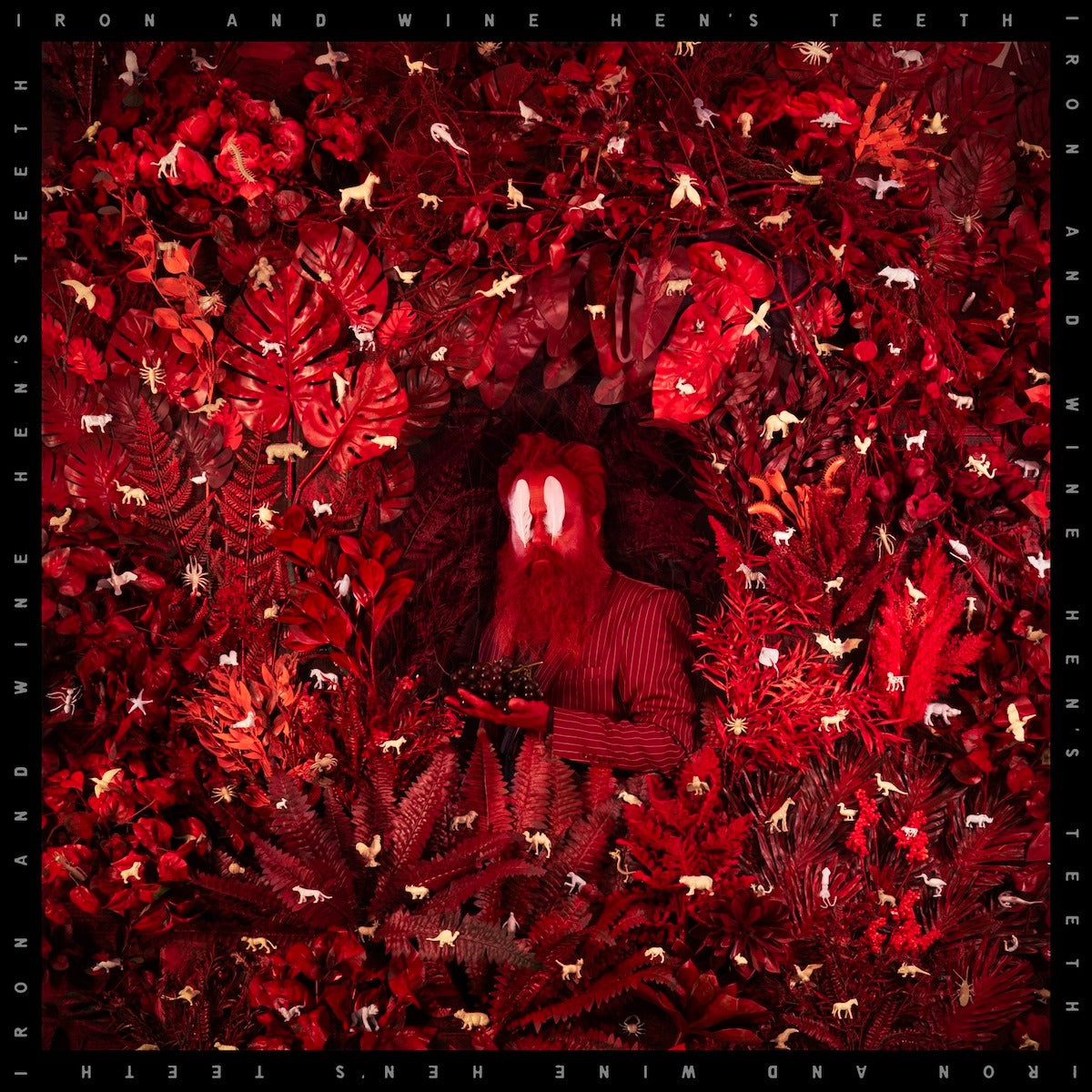 Iron And Wine - Hen's Teeth (LP, Loser Edition oxblood vinyl)