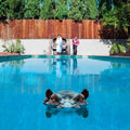 Sparks - Hippopotamus (2xLP)