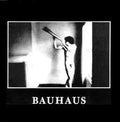 Bauhaus - In The Flat Field (LP)