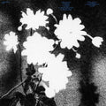 Loma Prieta - Last (LP)