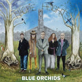SALE: Blue Orchids (ex-Fall) - Magpie Heights (LP) was £20.99