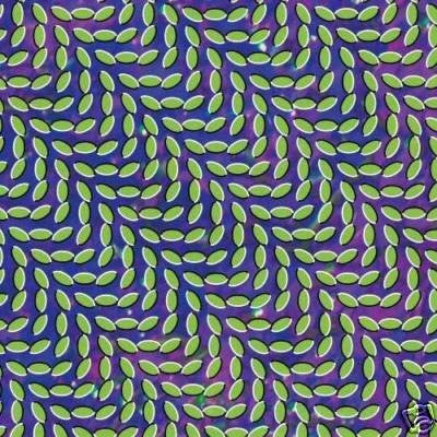 Animal Collective - Merriweather Post Pavilion (2xLP)